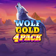 Wolf Gold 4 Pack