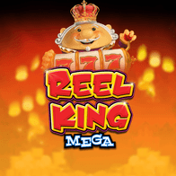 Reel King Mega